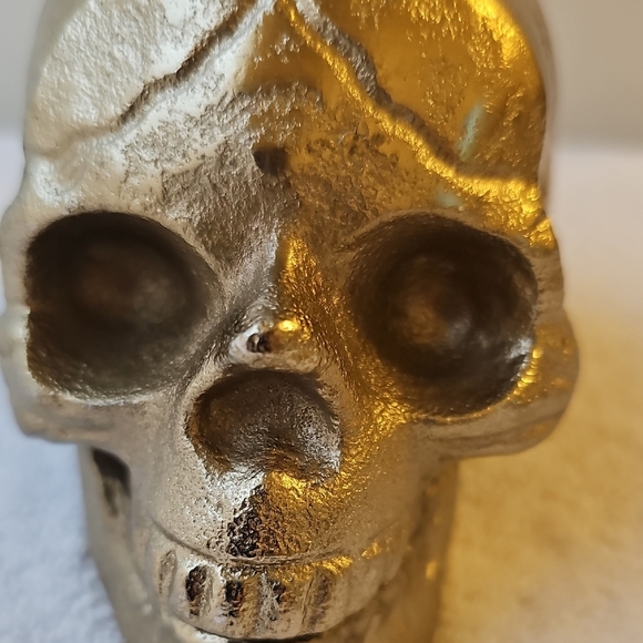 New Shiny Gold Skull with Hallowed Out Center Halloween Decor 3"x3" - Picture 7 of 12